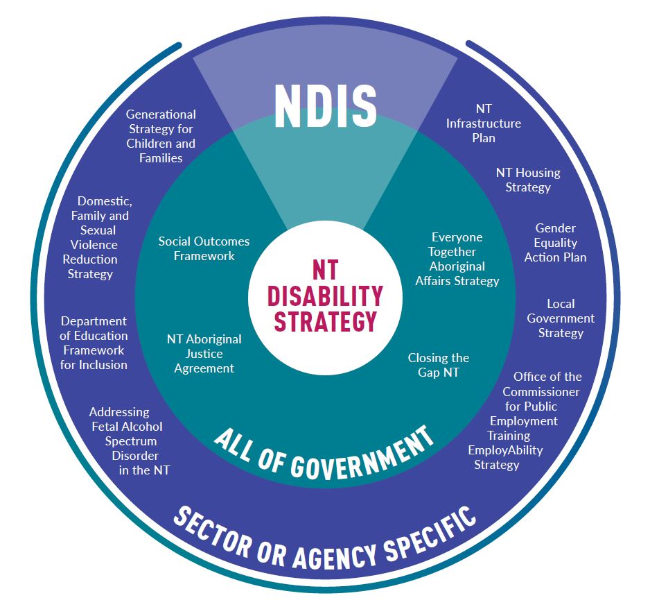 NT Disability Strategy - disability intersection as described below